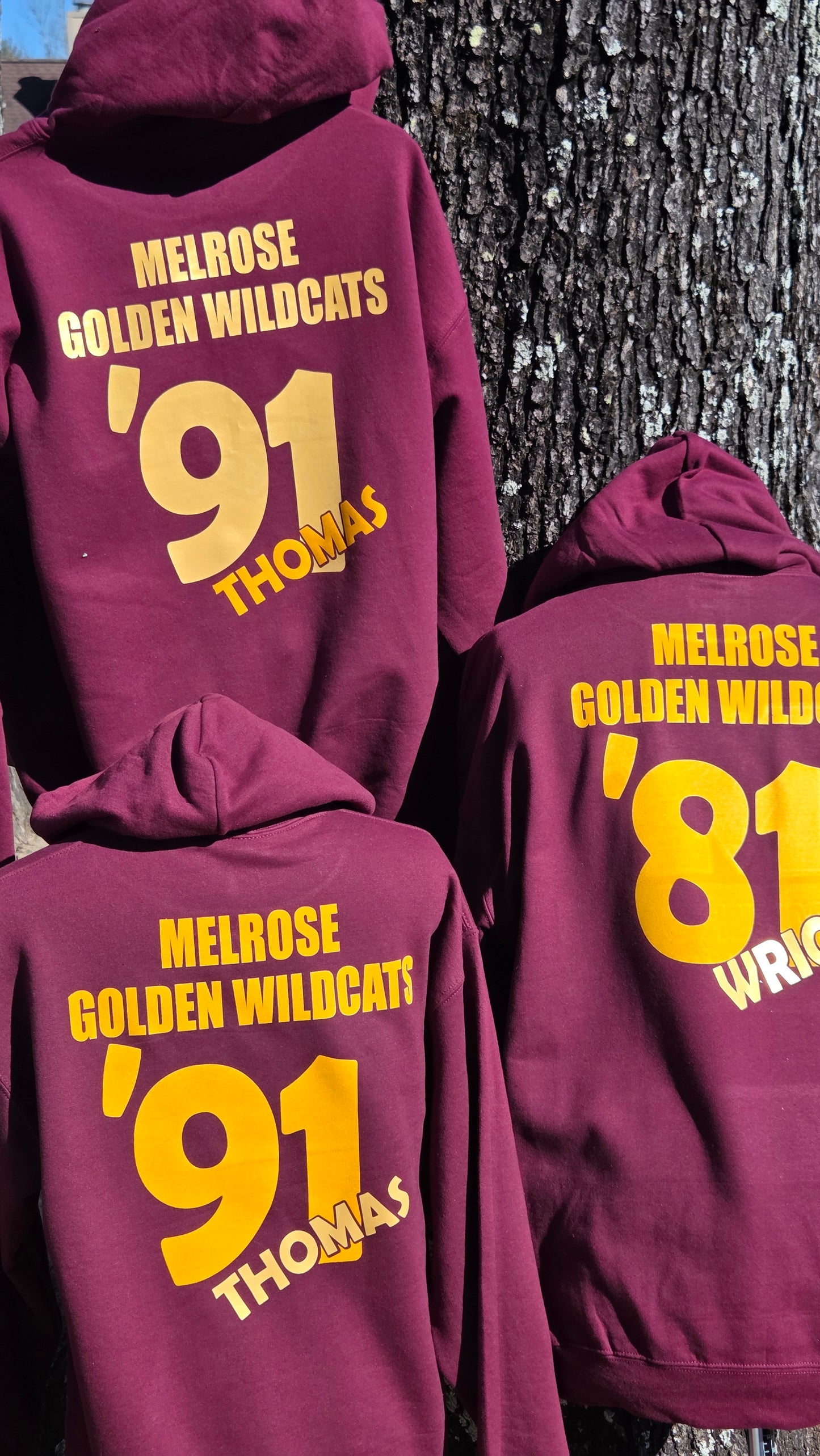 Melrose Golden Wildcats Hoodie