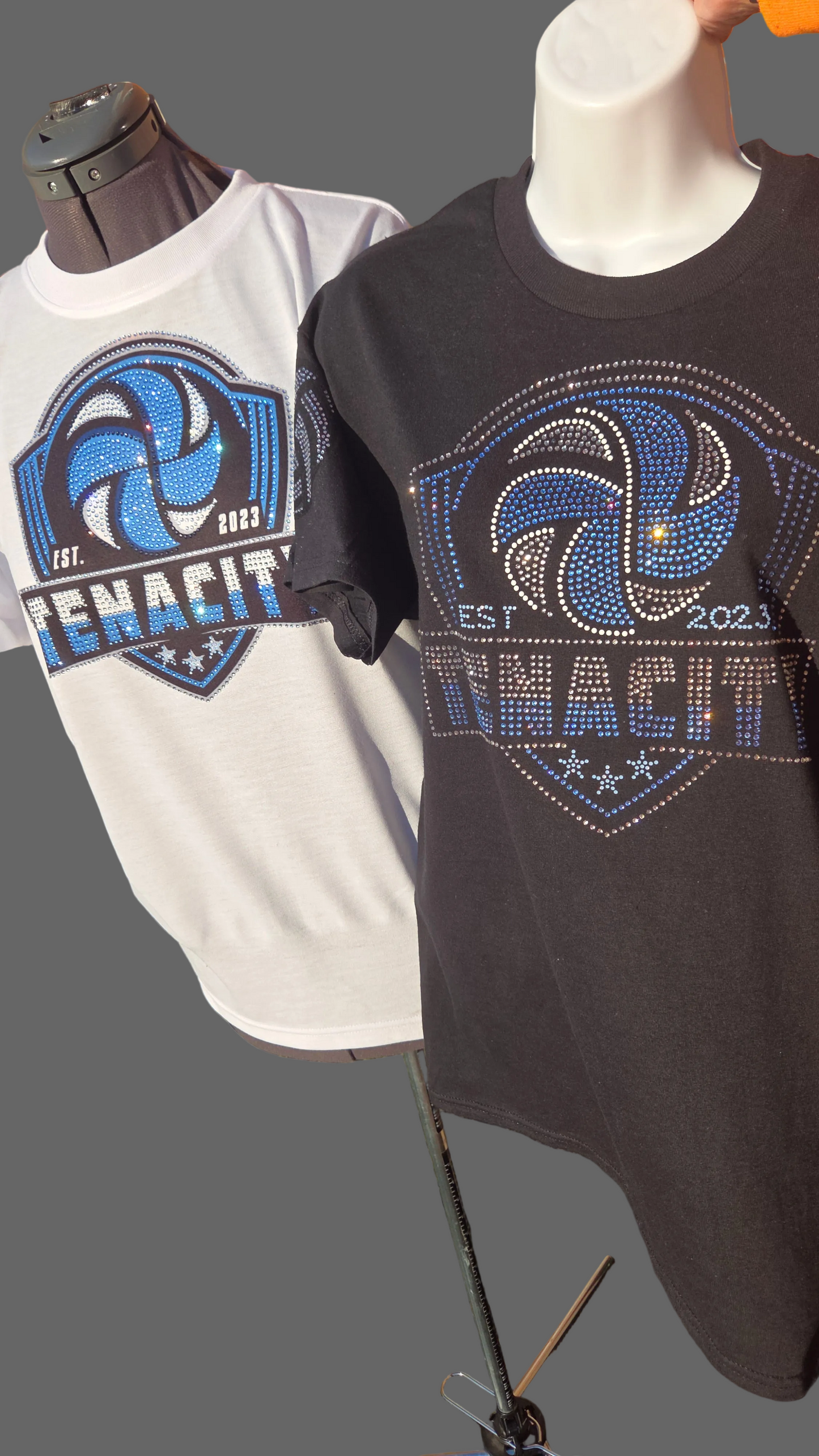 Tenacity T-Shirt